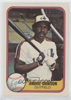 Andre Dawson