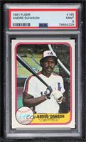 Andre Dawson [PSA 9 MINT]