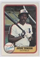 Andre Dawson