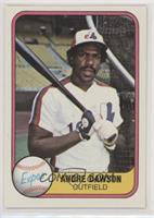 Andre Dawson