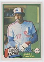 Andre Dawson