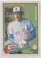 Andre Dawson