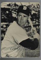 Ted Williams [Noted]