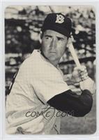 Ted Williams