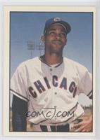 Billy Williams (Black Back; No MLB Logo) [Noted]