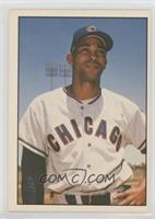 Billy Williams (Black Back; No MLB Logo)