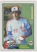 Andre Dawson