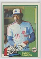 Andre Dawson