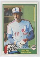 Andre Dawson