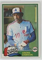 Andre Dawson