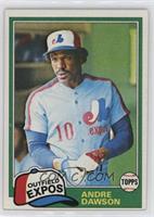 Andre Dawson