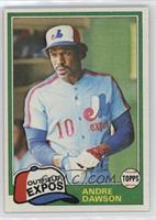 Andre Dawson