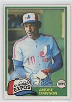 Andre Dawson