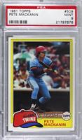 Pete Mackanin [PSA 9 MINT]