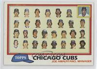 Team Checklist - Chicago Cubs [EX to NM]