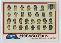 Team Checklist - Chicago Cubs