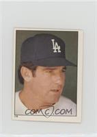 Steve Garvey