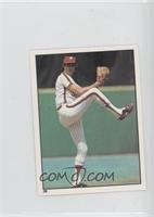 Steve Carlton