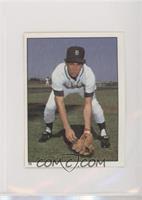 Alan Trammell