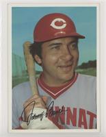 Johnny Bench [EX to NM]