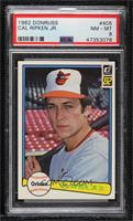 Cal Ripken Jr. [PSA 8 NM‑MT]