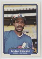 Andre Dawson