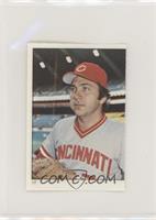 Johnny Bench