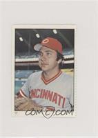 Johnny Bench