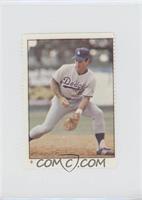 Steve Garvey