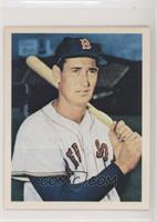 Ted Williams