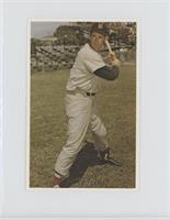 Ted Williams