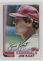 Jim Kaat