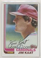 Jim Kaat