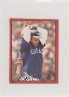 Carlton Fisk [EX to NM]