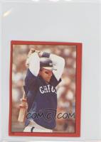 Carlton Fisk