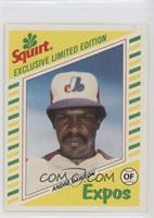 Andre Dawson