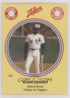 Andre Dawson