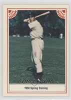 Joe DiMaggio (Back Red Border; Only Text on Back)