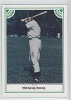 Joe DiMaggio (Back Green Border)