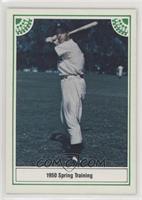 Joe DiMaggio (Back Green Border)