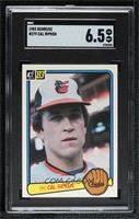 Cal Ripken Jr. [SGC 6.5 EX/NM+]