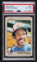 Andre Dawson [PSA 8 NM‑MT]