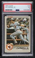 Cal Ripken Jr. [PSA 5 EX]