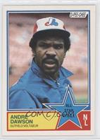 Andre Dawson