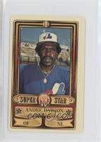 Andre Dawson