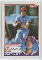 Jim Kaat