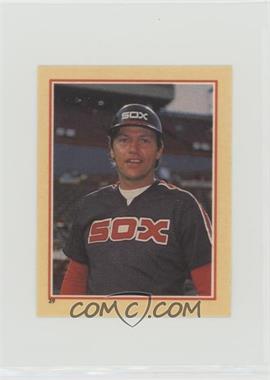 1984 Fleer Star Stickers Album Stickers - [Base] #39 - Carlton Fisk