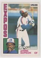 Andre Dawson