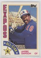 All-Star - Andre Dawson