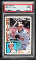 Cal Ripken Jr. [PSA 9 MINT]